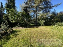 Der herrliche Garten Charmantes Zweifamilienhaus mit gro�em Grundst�ck und Entwicklungspotenzial!