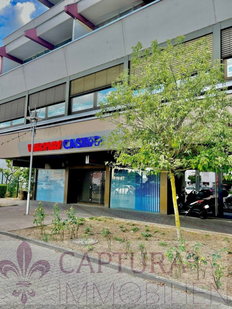 Au�enansicht Dillingen Ladenlokal Gewerbe-Paradies: Vielseitige Fl�che in erstklassiger Lage!